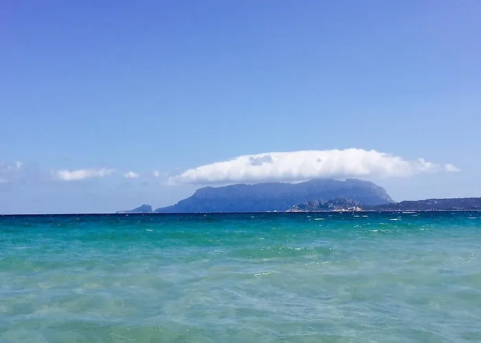 Сasa de vacaciones Il Fenicottero Rosa Olbia