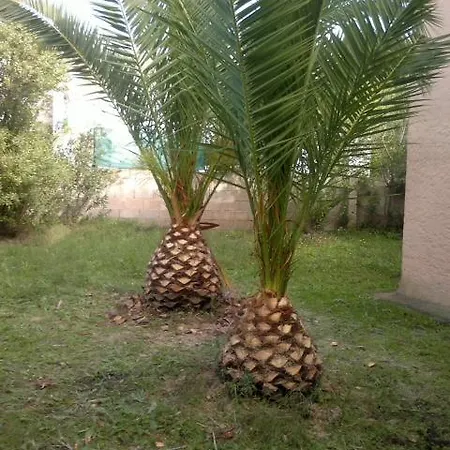 Hébergement de vacances Il Fenicottero Rosa