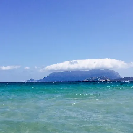 Tatil Evi Il Fenicottero Rosa Olbia