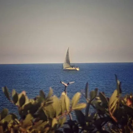 Tatil Evi Il Fenicottero Rosa Olbia