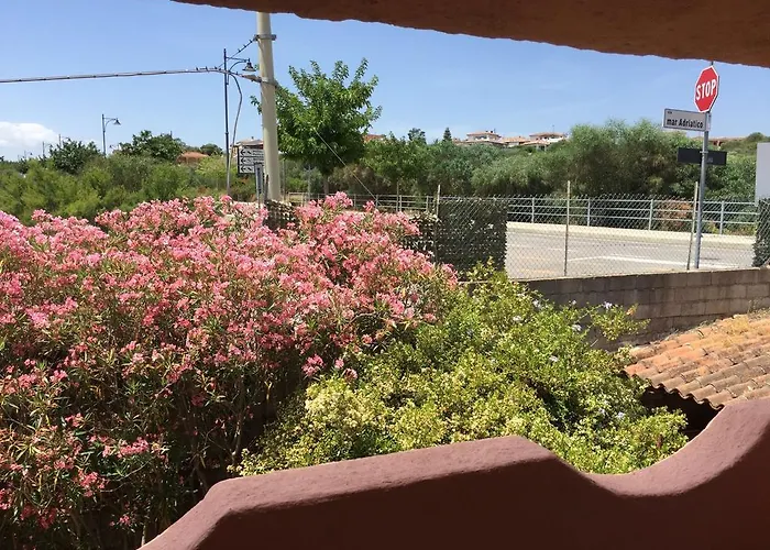 Il Fenicottero Rosa אולביה