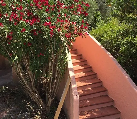 בית נופש Il Fenicottero Rosa *
